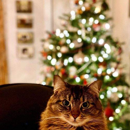 Photo #5662274