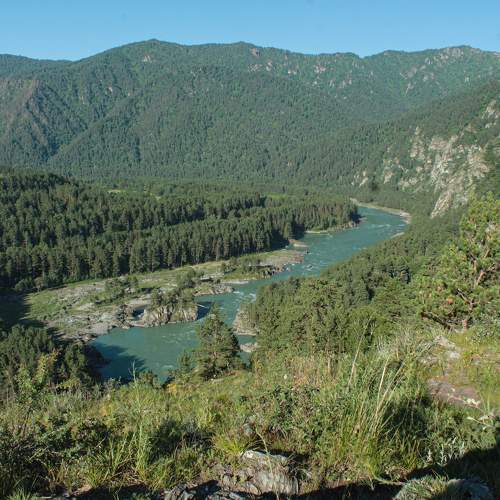 Photo #5662534