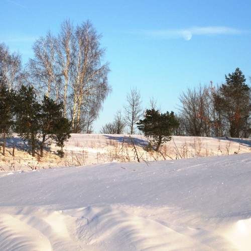 Photo #5662833