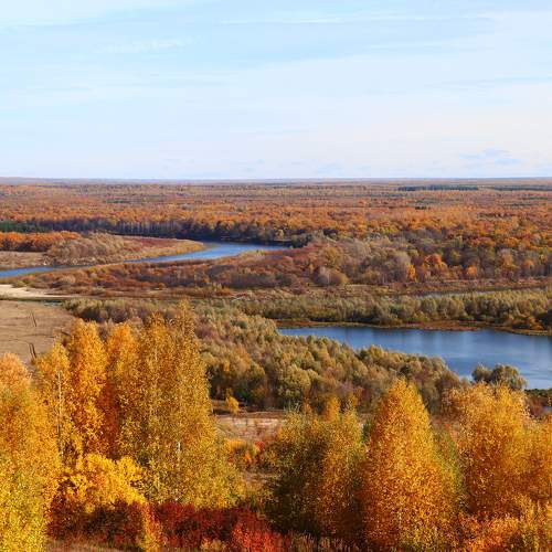 Сурские дали