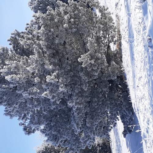 Photo #5662937