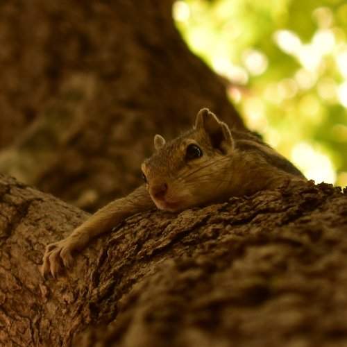 Photo #5663157