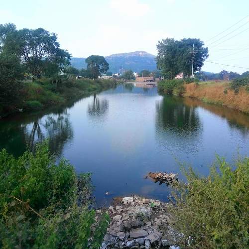 Photo #5663327