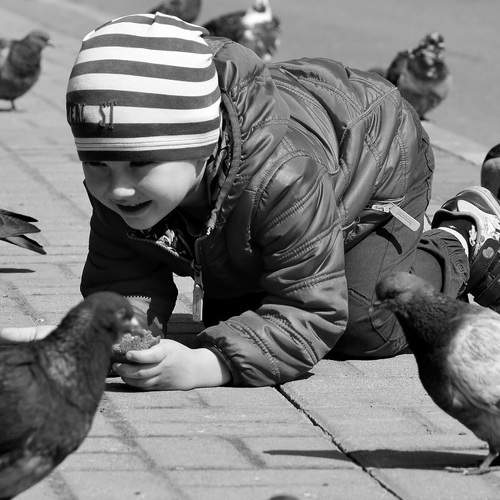 Photo #5663354