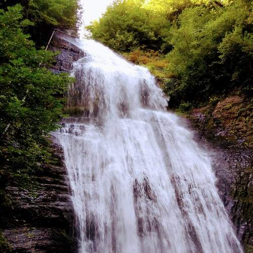 Photo #5663379
