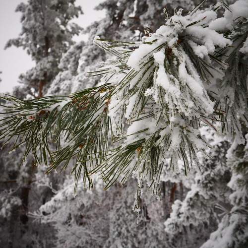 Photo #5663470
