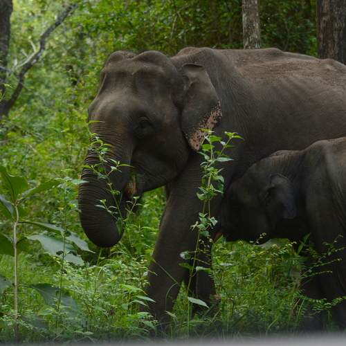 Photo #5663502