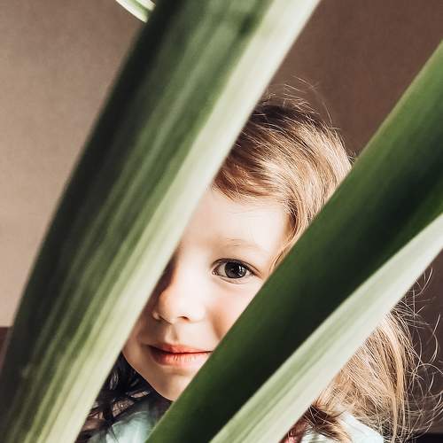 Photo #5663512