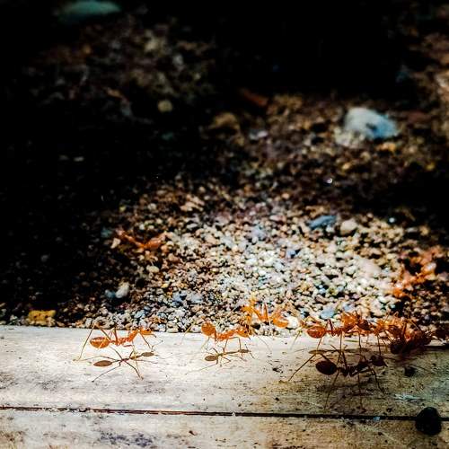 Photo #5663702