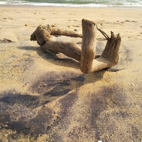 Photo #5664767