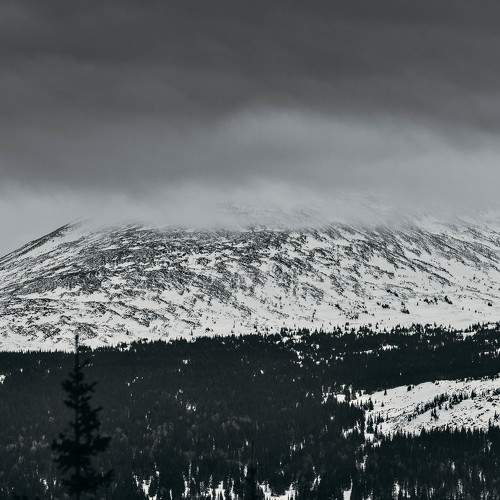 Photo #5664796
