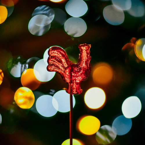 Photo #5664826