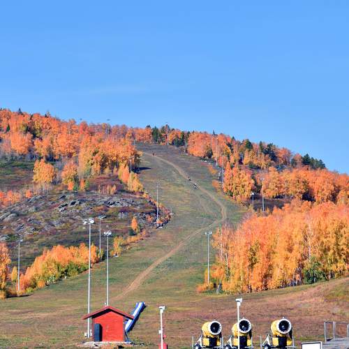 Photo #5664867