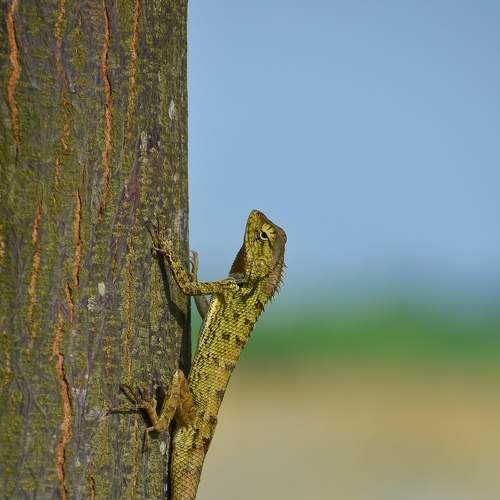 Waiting for breakfast..