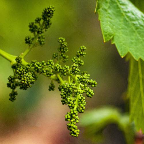Photo #5665047