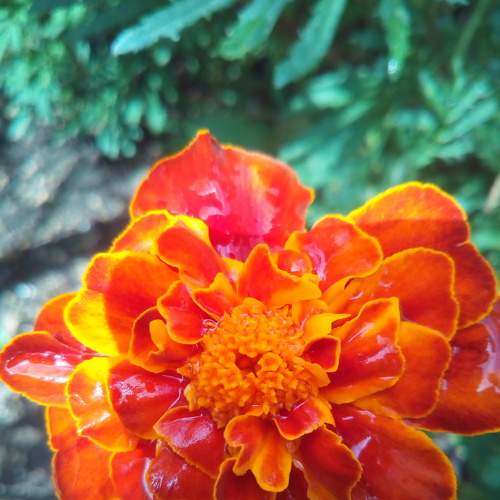 Photo #5665148