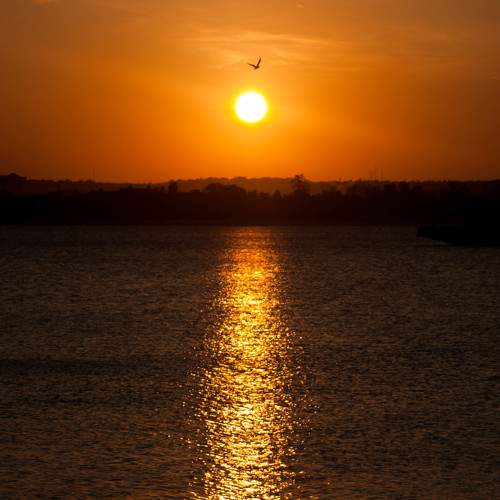 Photo #5665167