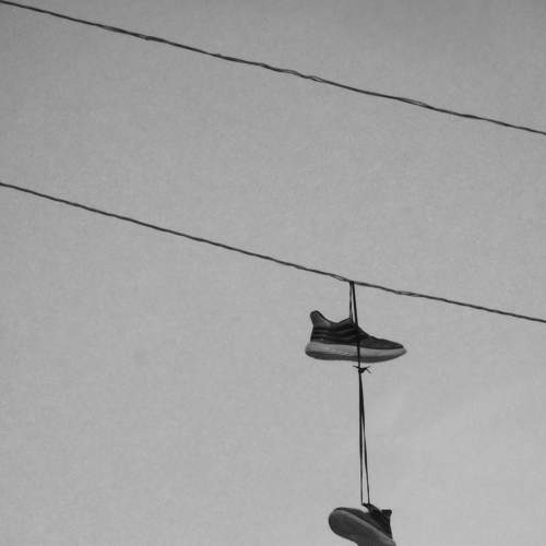 Photo #5665262