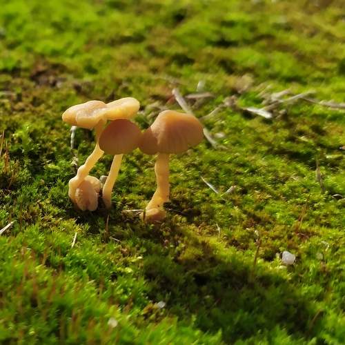 Photo #5665517
