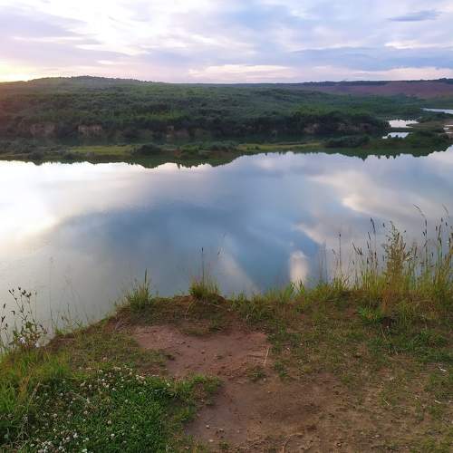 Photo #5665519