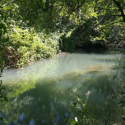 Photo #5665624