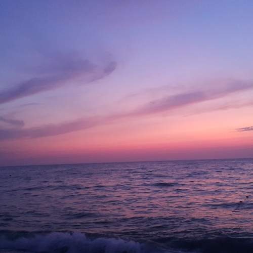 Photo #5665635