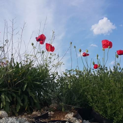 Photo #5665831