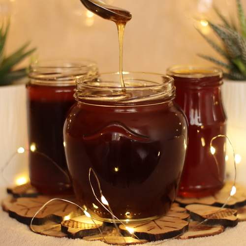 Photo #5665864