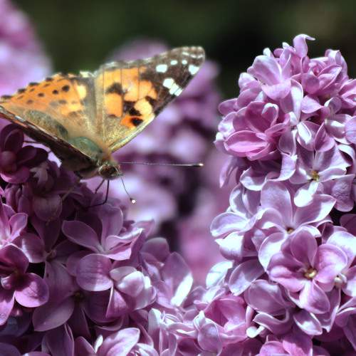 Photo #5665895