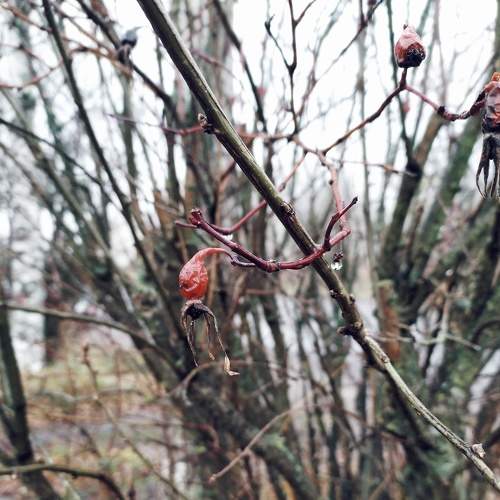 Photo #5665897