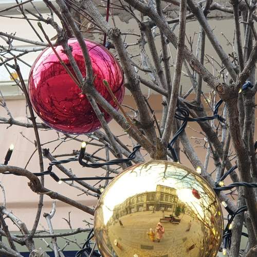 Photo #5665934