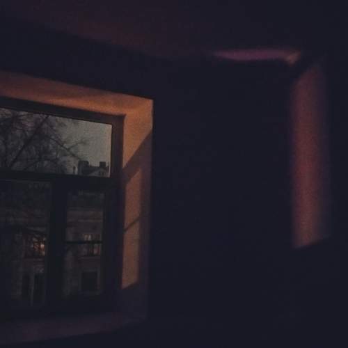 Photo #5665935
