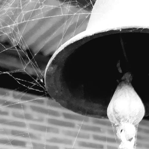 Spiderweb