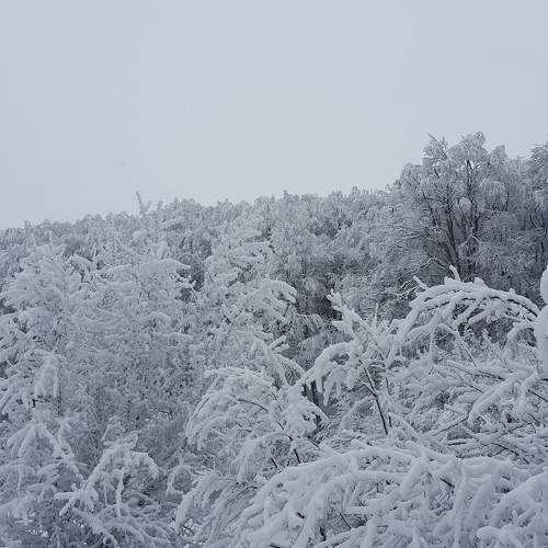 Photo #5666076