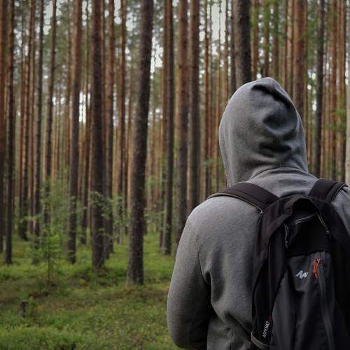 Photo #5666170