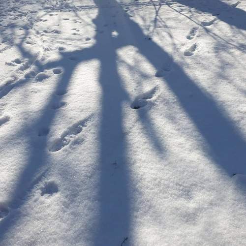 Photo #5666390