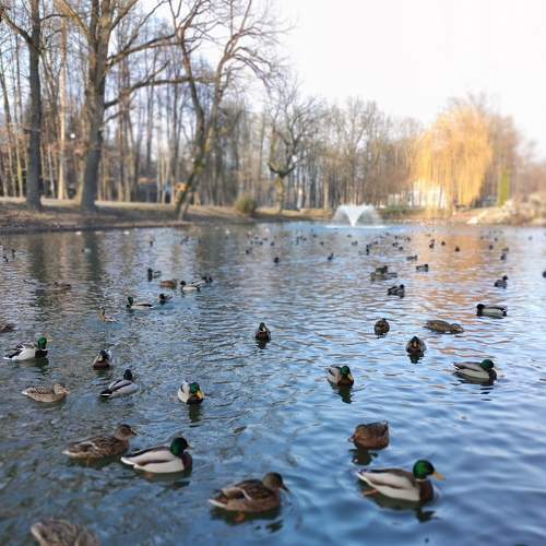 Photo #5666452