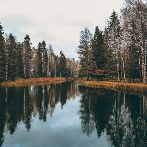 Photo #5666554