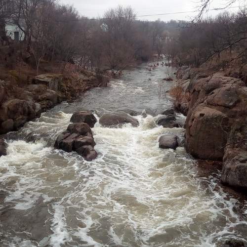 Photo #5666573