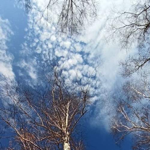 Photo #5666593