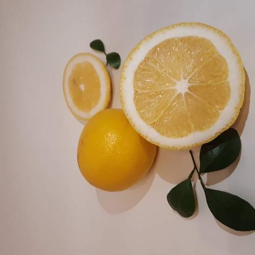 Photo #5666637