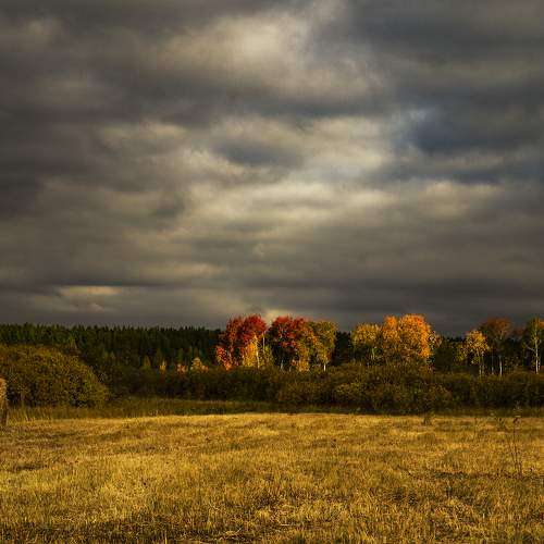 Photo #5666809