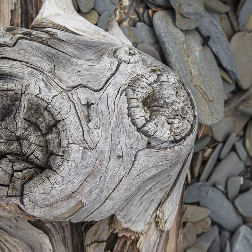 Photo #5666860