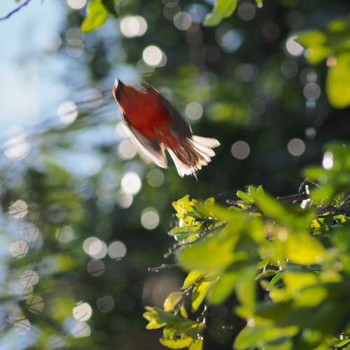 Photo #5667269