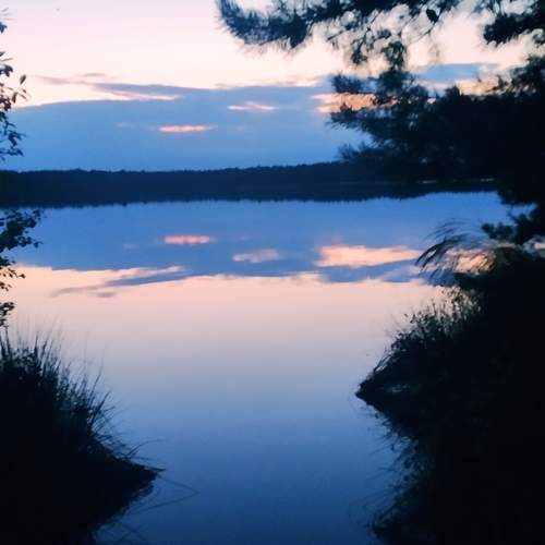 Photo #5667694