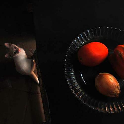 Photo #5667742