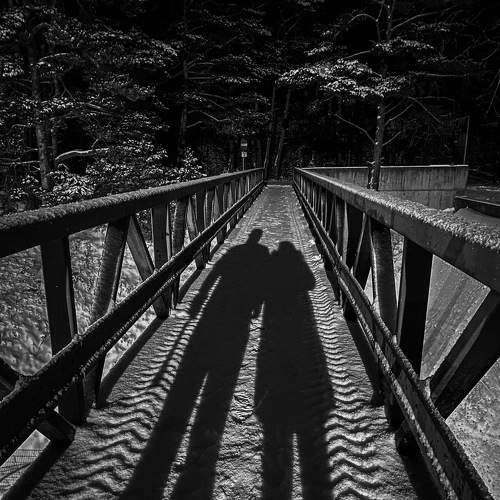 Photo #5668195