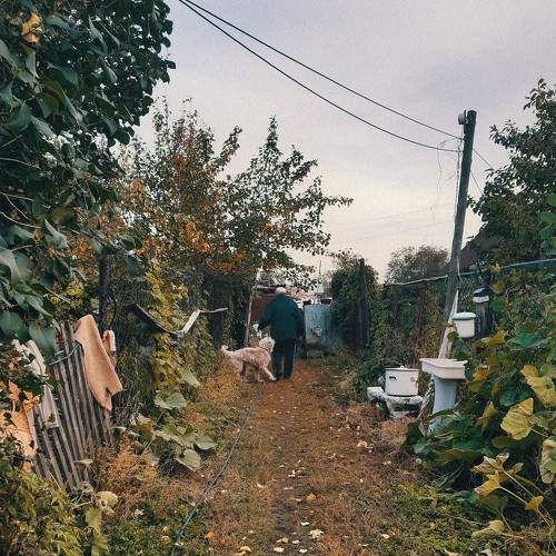 Photo #5668372