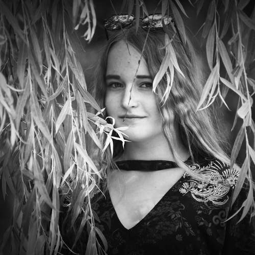 Photo #5668443