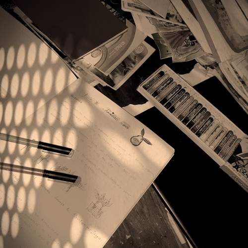 Photo #5668472